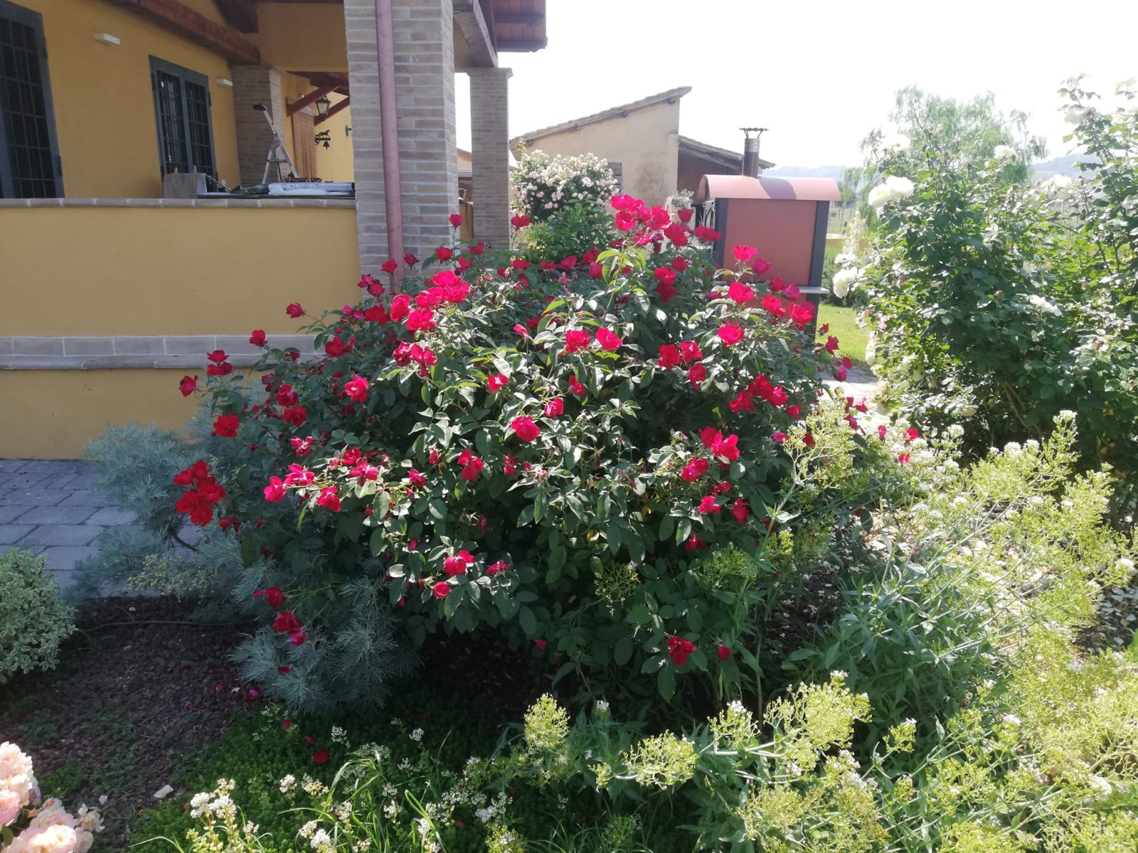 Agriturismo — immagine 2