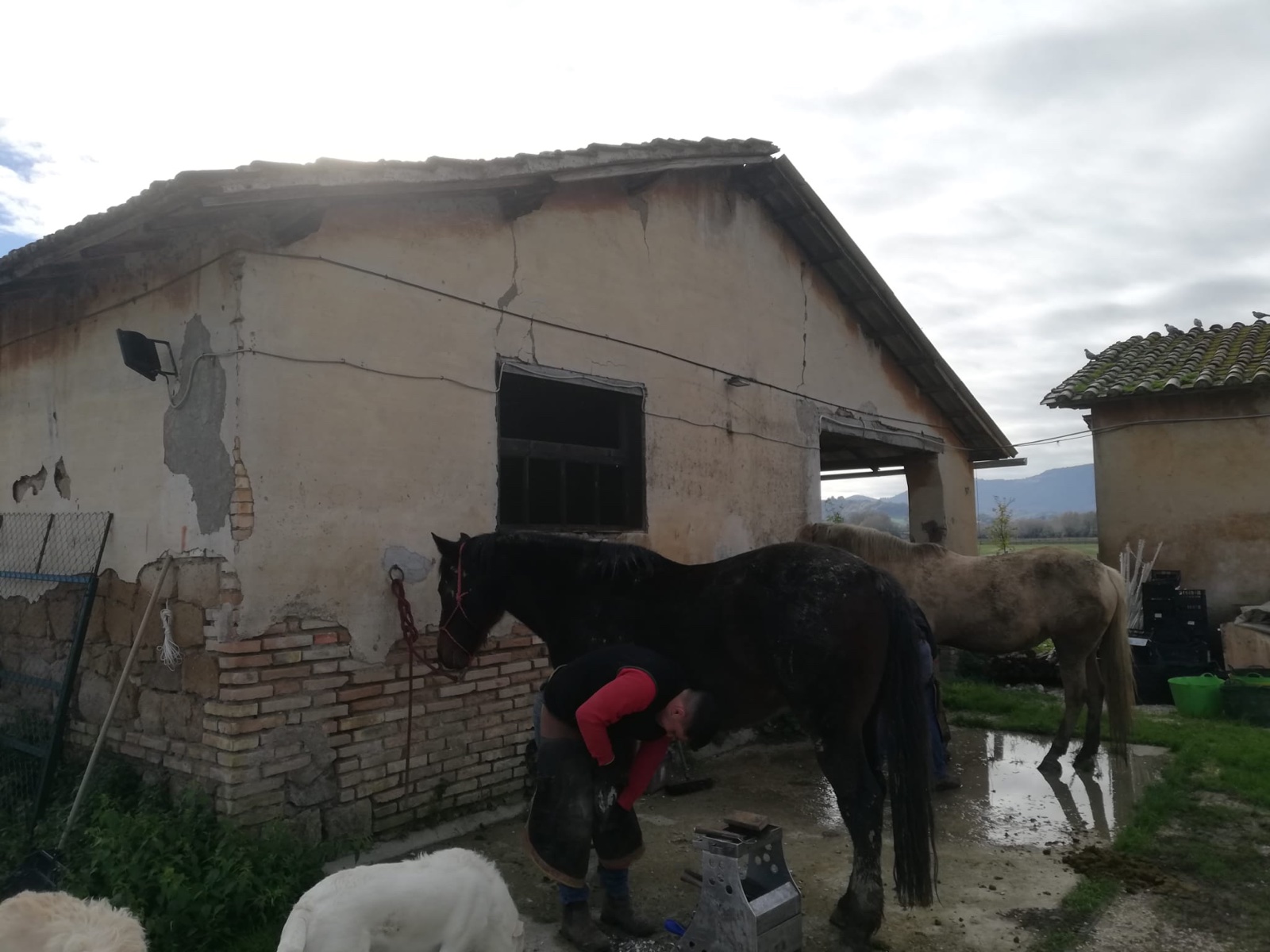 Agriturismo — immagine 4