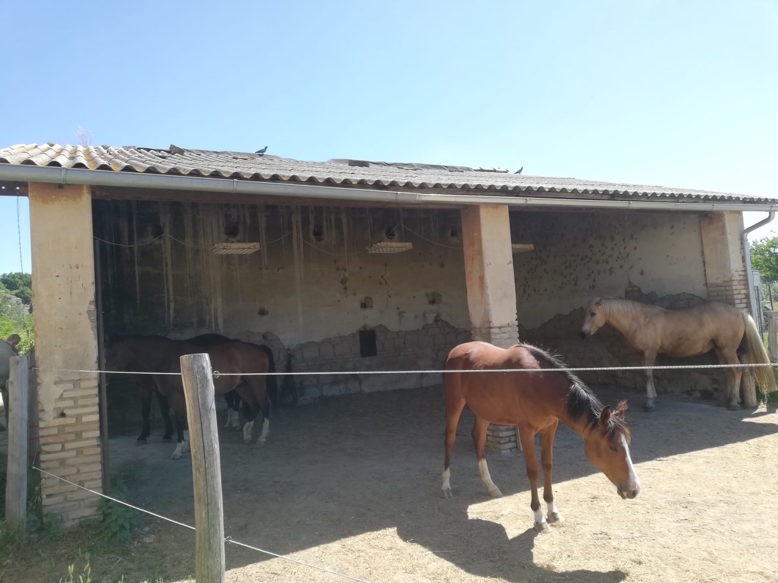 Agriturismo — immagine 7