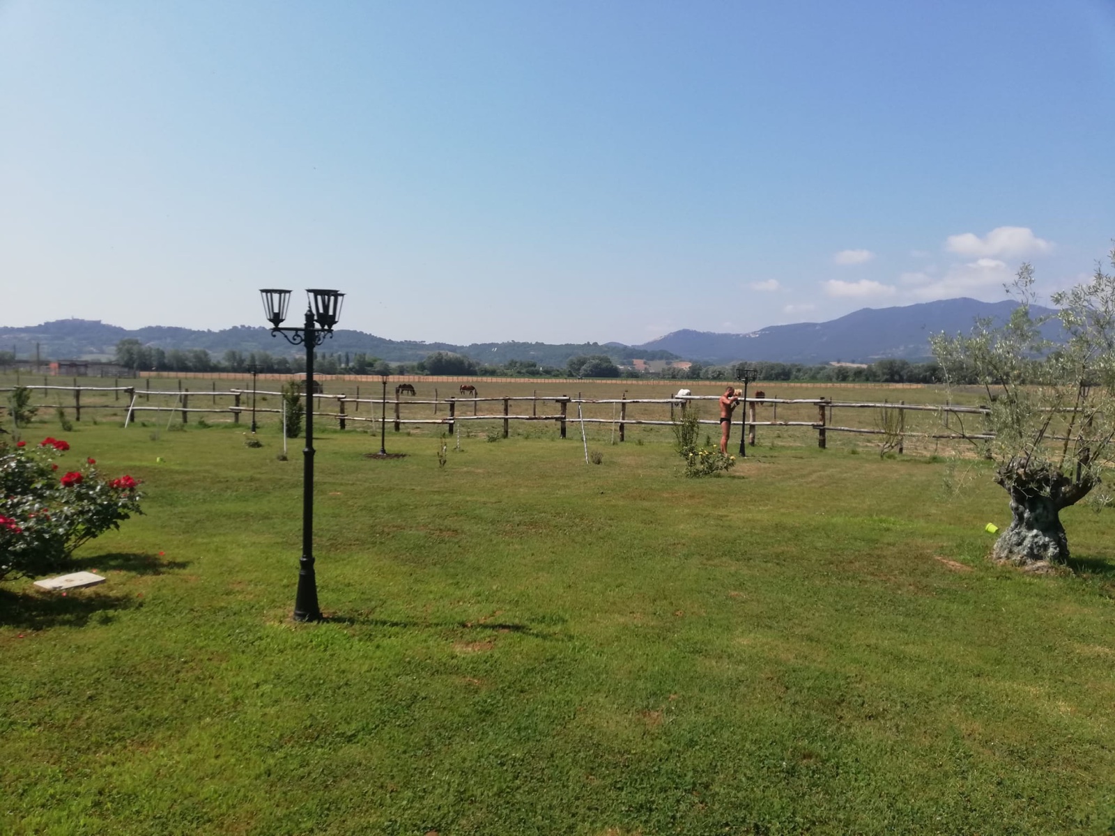 Agriturismo — immagine 12