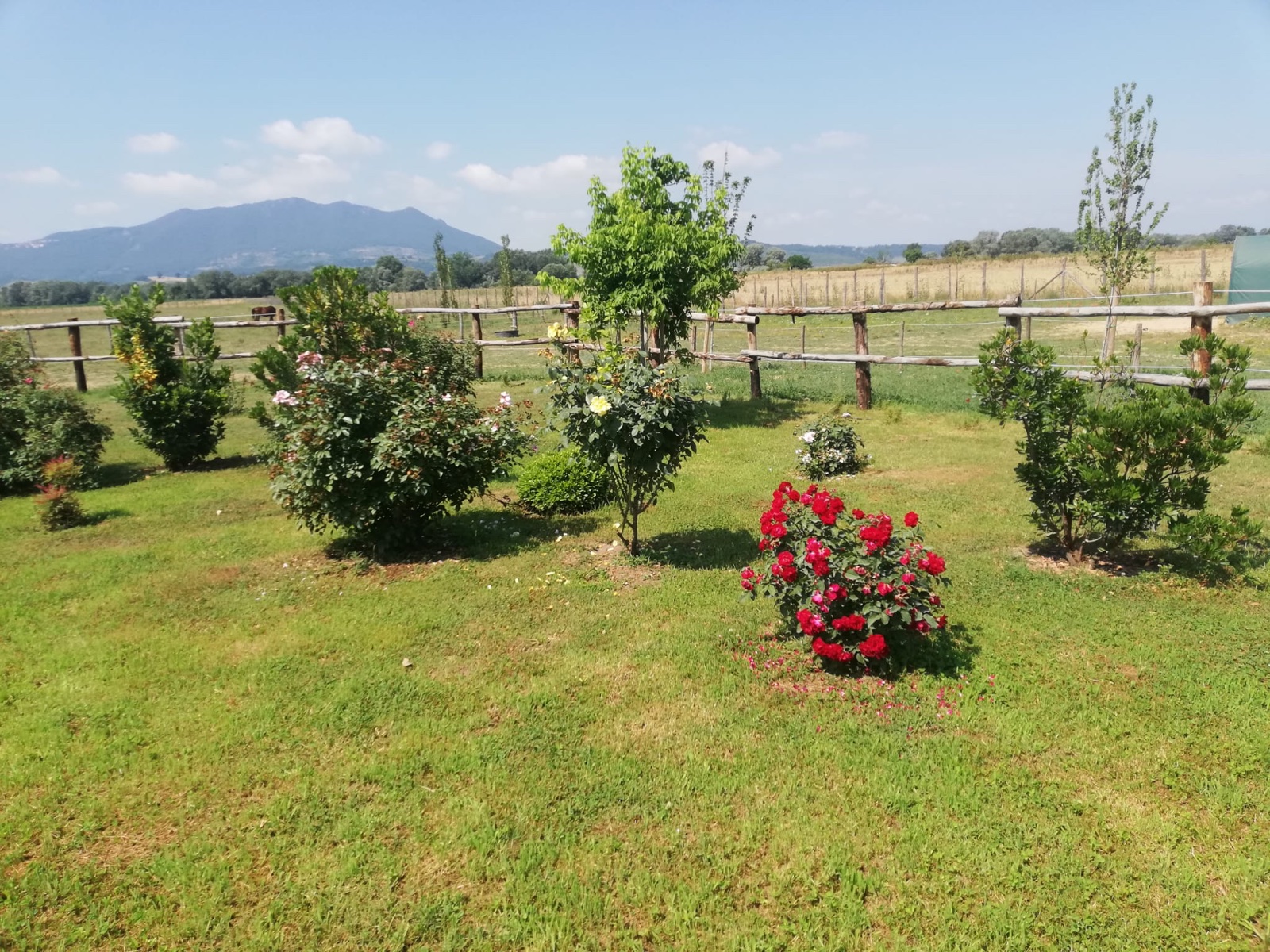 Agriturismo — immagine 16