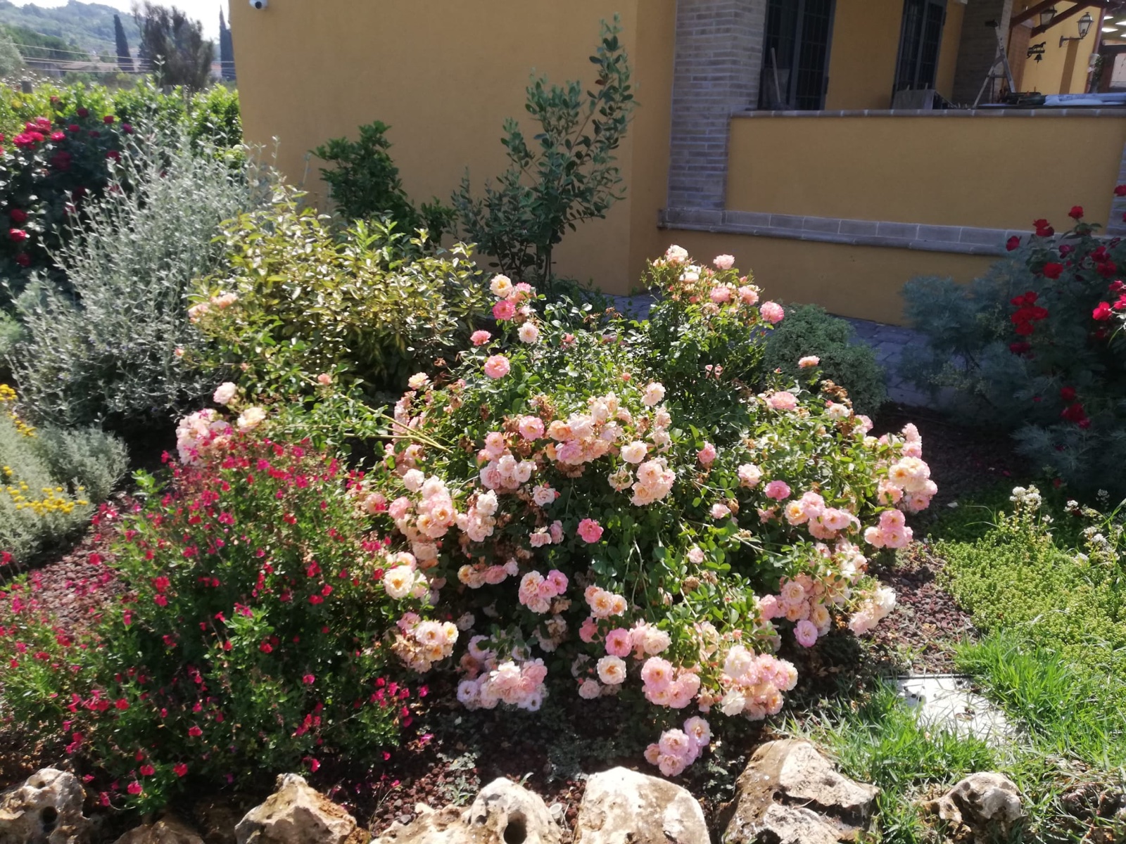 Agriturismo — immagine 23