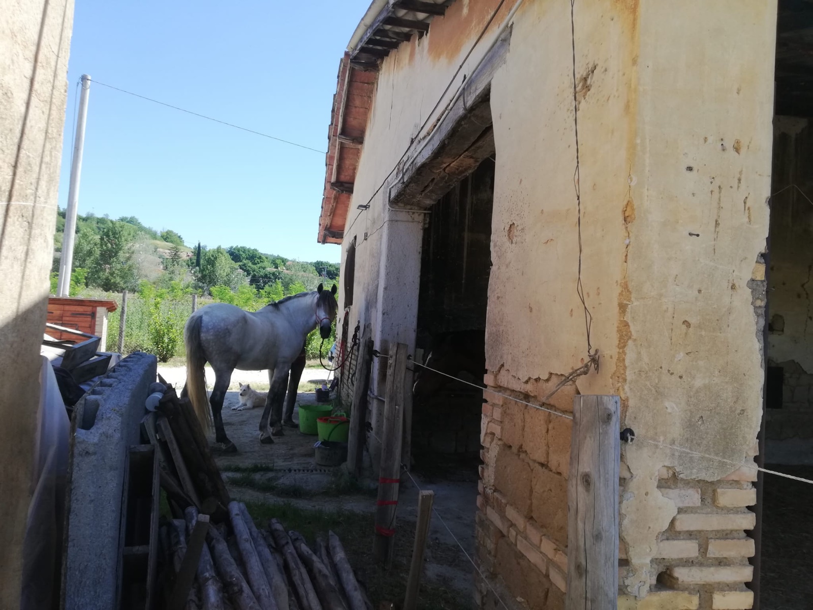 Agriturismo — immagine 36